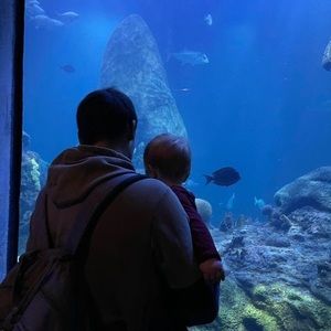 Meet your Posher, Alonzo